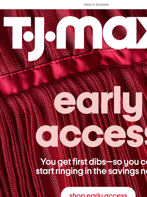 tjmaxx newsletter: Hello, new year. Hello, EARLY ACCESS 🙌