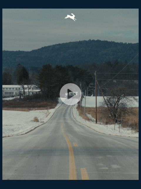 tracksmith newsletter: New Year, New Film