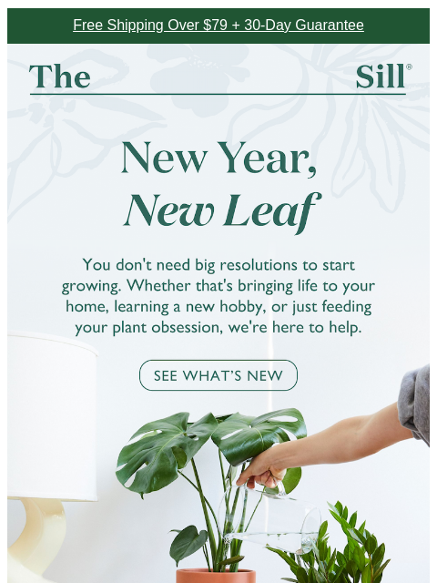 thesill newsletter: New Year, New Plants, New Classes