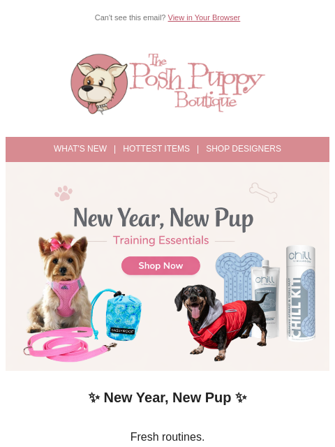 poshpuppyboutique newsletter: New Year, New Pup 🐾 Start Strong