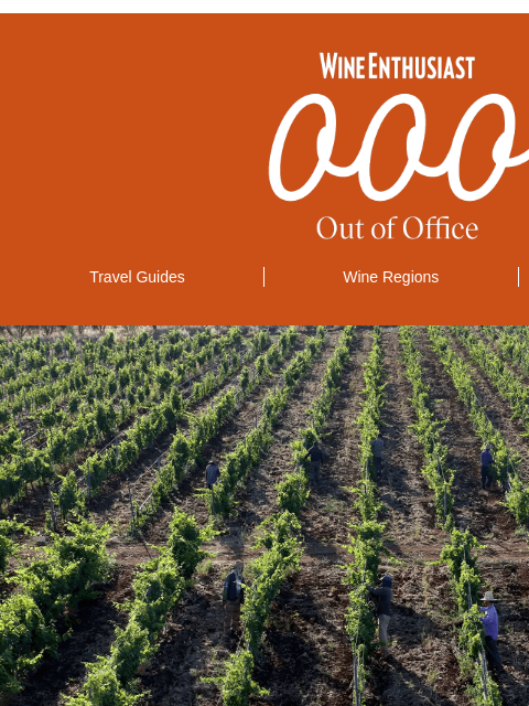 wineenthusiast newsletter: 🗽New York Is for (Wine) Drinkers