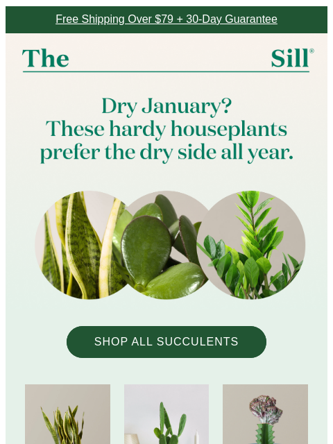 thesill newsletter: A Different Kind of Dry January