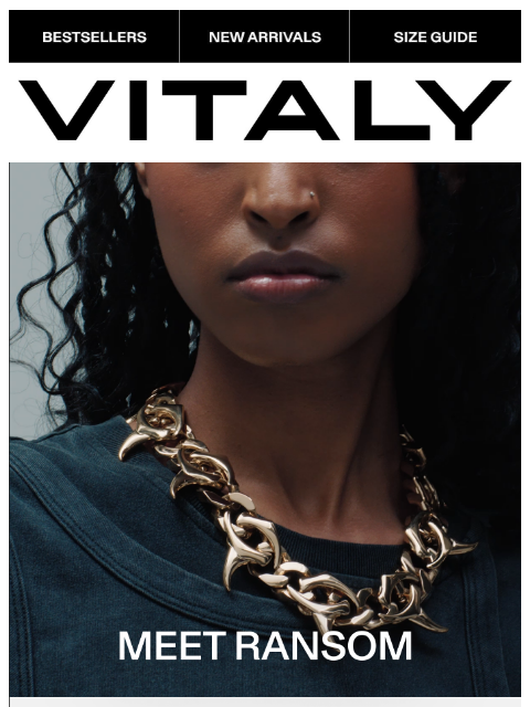 vitalydesign newsletter: MEET RANSOM