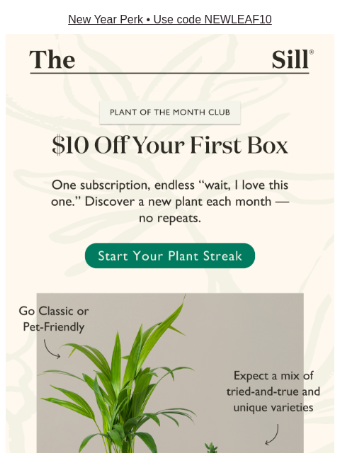 thesill newsletter: A slippery slope, but make it green 🤪