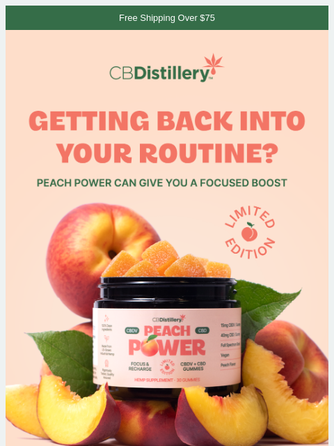thecbdistillery newsletter: Getting back into your routine after the holidays?