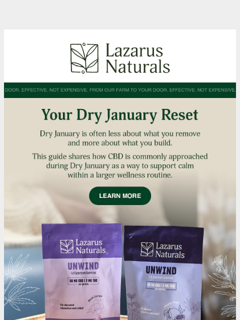 lazarusnaturals newsletter: CBD & Dry January: What to Know 📖