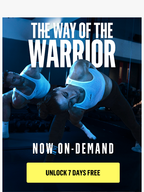 aarmy newsletter: The Way of the Warrior — Now On-Demand 🏆