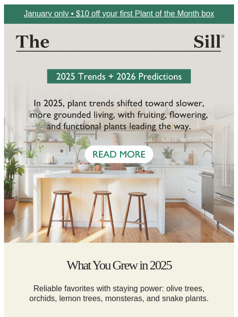 thesill newsletter: Our 2025 trend report + 2026 predictions, inside.
