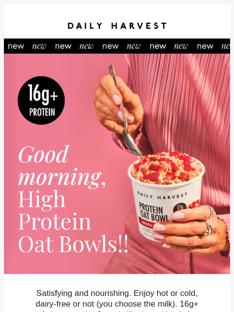 daily-harvest newsletter: Introducing NEW: High Protein Oat Bowls