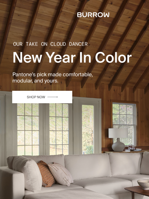 burrow newsletter: Pantone named it. We made it yours.