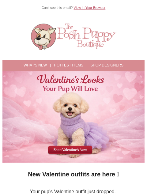 poshpuppyboutique newsletter: Love is in the Air—New Valentine’s Outfits for You...