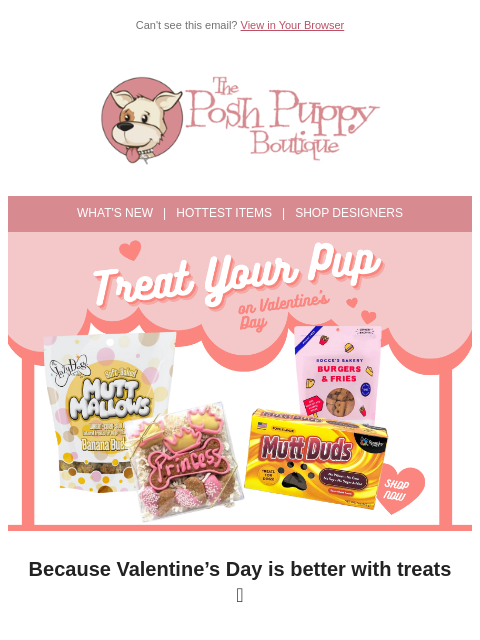 poshpuppyboutique newsletter: Valentine’s Treats for the Goodest Pup 💕