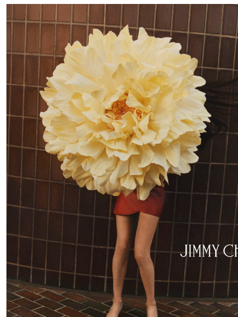 jimmychoo newsletter: Exclusive Early Access: Spring 2026