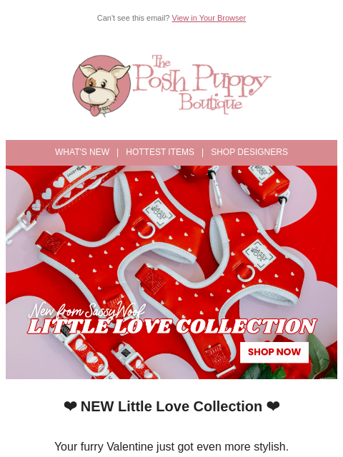 poshpuppyboutique newsletter: 💕 Meet the Little Love Collection — Perfect For Y...