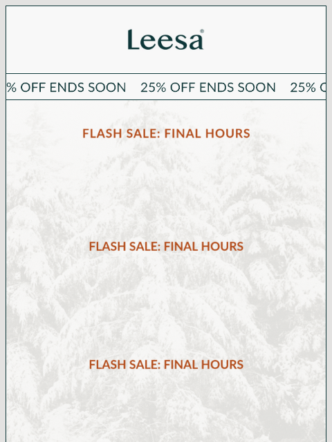 leesasleep newsletter: This is it! Our Flash Sale ends tonight.