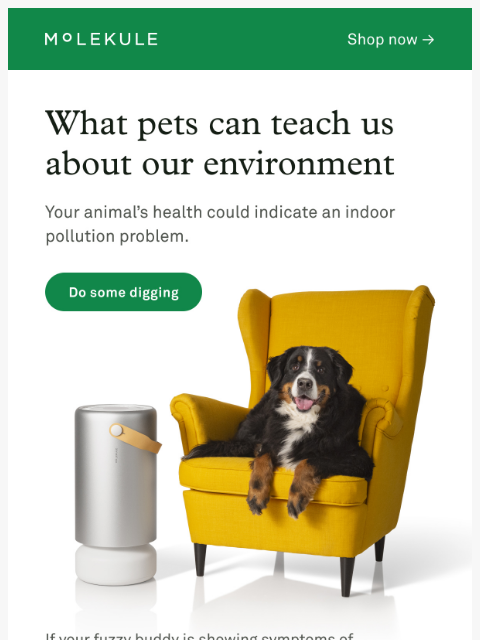 molekule newsletter: 🐾 Pets Can Sense Pollution Before You Can 🐾