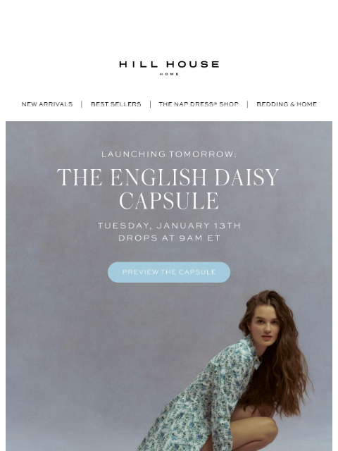 hillhousehome newsletter: Launching Tomorrow: The English Daisy Capsule