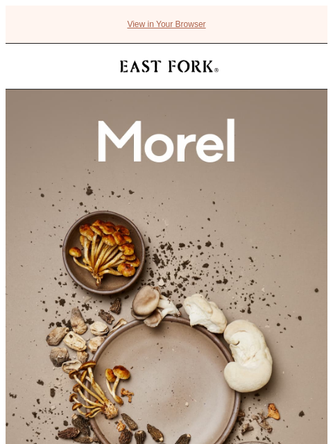 eastfork newsletter: Mushrooms, coffee with cream, cowboy hats