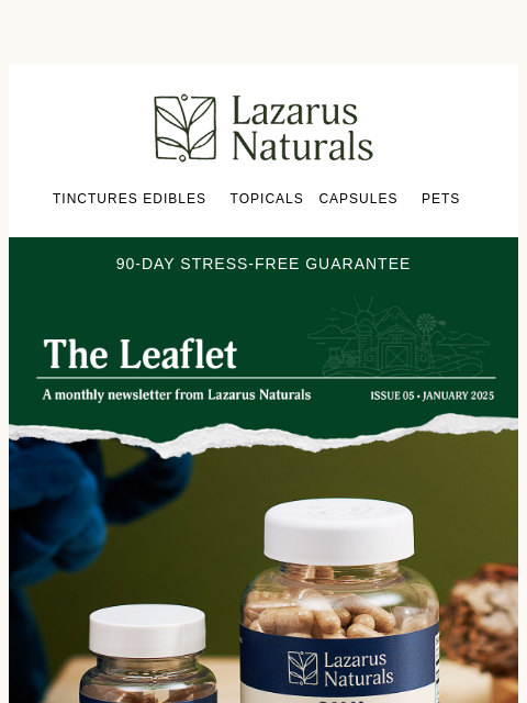 The first newsletter of the year has arrived! ͏ ͏ ͏ ͏ ͏ ͏ ͏ ͏ ͏ ͏ ͏ ͏ ͏ ͏ ͏ ͏ ͏ ͏ ͏ ͏ ͏ ͏ ͏ ͏ ͏ ͏ ͏ ͏ ͏ ͏ ͏ ͏ ͏ ͏ ͏ ͏ ͏ ͏ ͏ ͏ ͏ ͏ ͏ ͏ ͏ ͏ ͏ ͏ ͏ ͏ ͏ ͏ ͏ ͏ ͏ ͏ ͏ ͏ ͏ ͏ ͏ ͏ ͏ ͏ ͏ ͏ ͏ ͏ ͏ ͏ ͏ ͏ ͏ ͏ ͏ ͏ ͏ ͏
