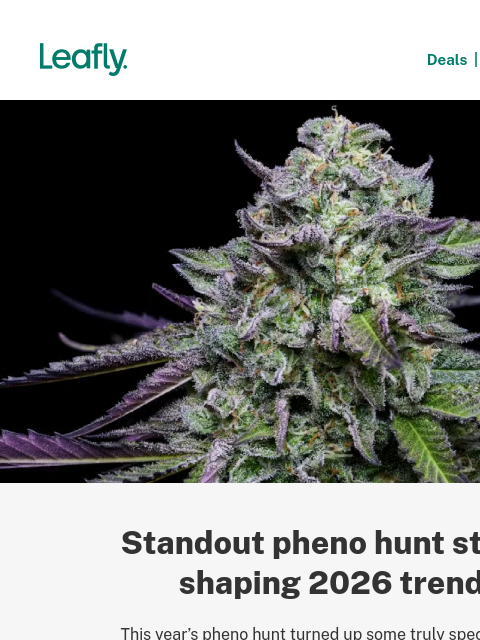 leafly newsletter: The winning pheno hunt strains shaping 2026 🌱