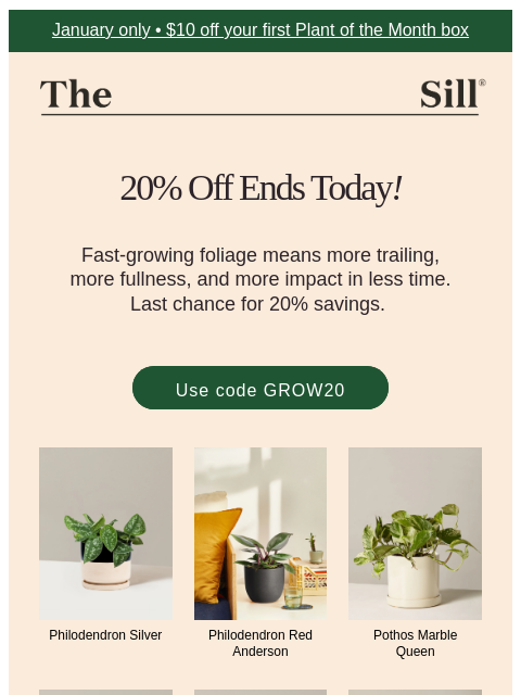thesill newsletter: 💫 Ends Today! 20% Off Fast Growers