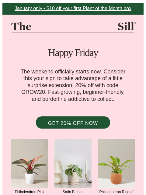 thesill newsletter: Because it’s Friday - 20% Extended ✨