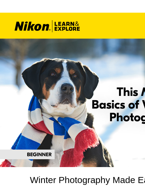 nikon newsletter: LEARN how to take better winter photos
