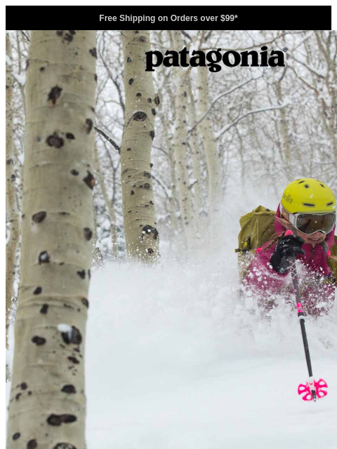 patagonia newsletter: Best Sellers for the cold