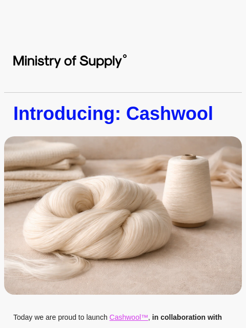 ministryofsupply newsletter: x Zegna Baruffa Extrafine Merino