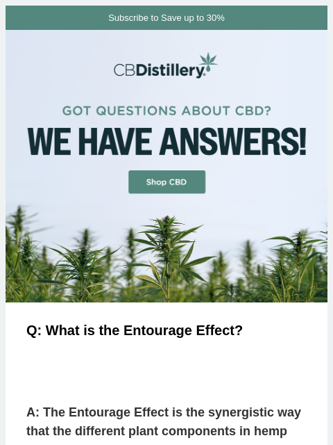 thecbdistillery newsletter: Got questions about CBD?
