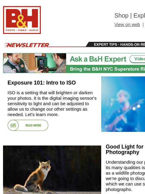 bhphotovideo newsletter: Intro to ISO, Good Light for Wildlife Photography,...