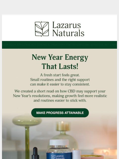 lazarusnaturals newsletter: 🗓️ Support your goals, not just set them.