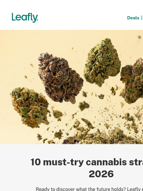 leafly newsletter: 10 strains to try in 2026 🔥