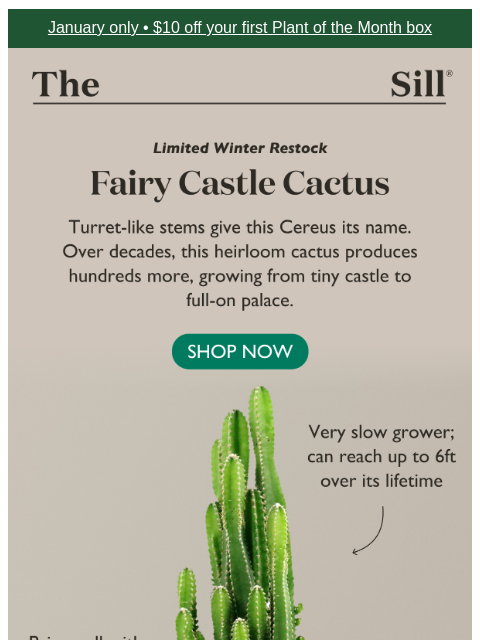 thesill newsletter: Finally, a castle you can actually afford