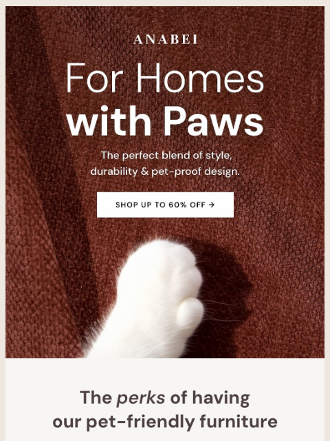 anabei newsletter: Stress-free pet life!