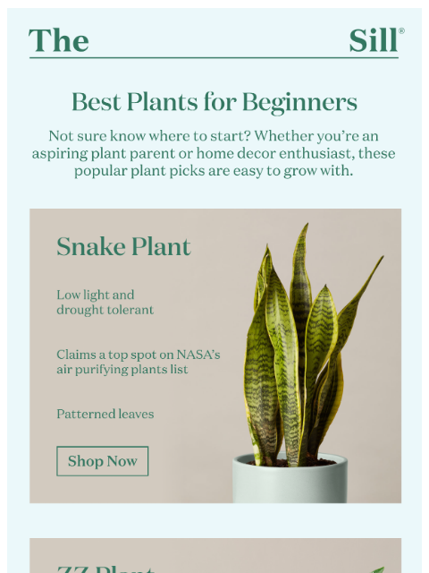 Enjoy FREE shipping on plants & planters ͏ ͏ ͏ ͏ ͏ ͏ ͏ ͏ ͏ ͏ ͏ ͏ ͏ ͏ ͏ ͏ ͏ ͏ ͏ ͏ ͏ ͏ ͏ ͏ ͏ ͏ ͏ ͏ ͏ ͏ ͏ ͏ ͏ ͏ ͏ ͏ ͏ ͏ ͏ ͏ ͏ ͏ ͏ ͏ ͏ ͏ ͏ ͏ ͏ ͏ ͏ ͏ ͏ ͏ ͏ ͏ ͏ ͏ ͏ ͏ ͏ ͏ ͏ ͏ ͏ ͏ ͏ ͏ ͏ ͏ ͏ ͏ ͏ ͏ ͏ ͏ ͏ ͏