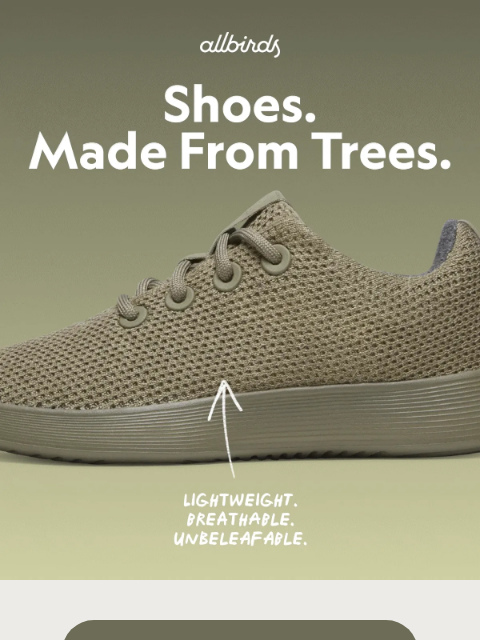allbirds newsletter: Trees… But Make Them Shoes 🌳