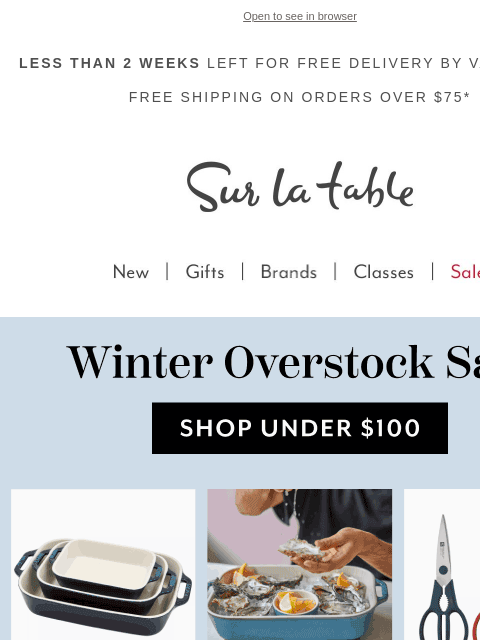 surlatable newsletter: Winter Overstock Steals You’ll Love (All Under $10...