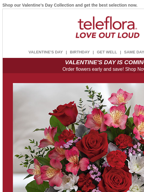 teleflora newsletter: Take 25% Off & Romance Your Sweetie 💞