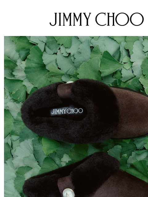 jimmychoo newsletter: Snow Season