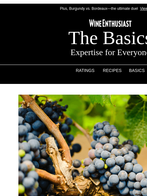 wineenthusiast newsletter: 🍇An Obscure Puglia Grape Gets the Glow-Up It Dese...