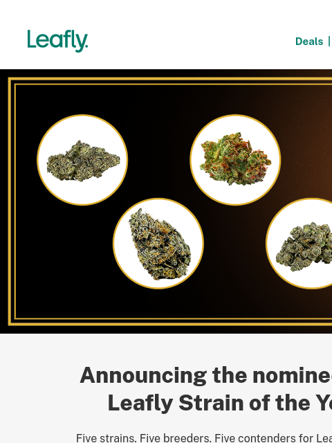 leafly newsletter: The nominees for Leafly Strain of the Year 🏆