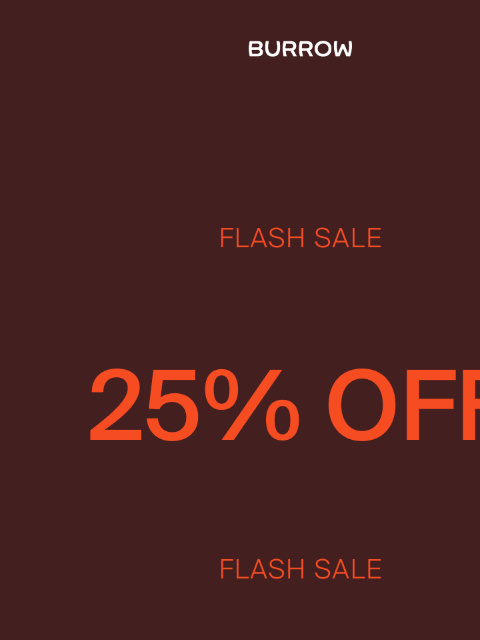 burrow newsletter: FLASH SALE: 25% OFF