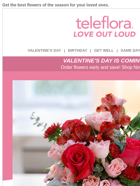 Get the best flowers of the season for your loved ones. View in browser ‌ teleflora VALENTINE'S DAY | BIRTHDAY | GET WELL | SAME DAY | DEAL OF THE DAY VALENTINE'S DAY IS COMING! Order flowers