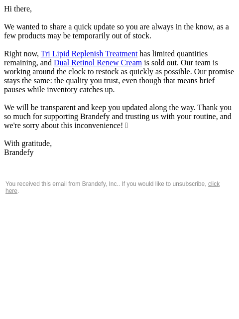 brandefyskin newsletter: Keeping you in the loop