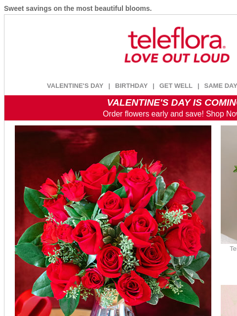 teleflora newsletter: Make Them Swoon 💘 25% Off Every Bouquet