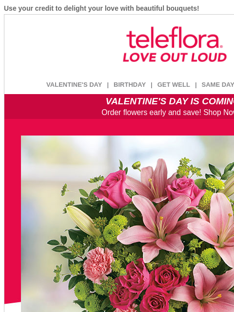 teleflora newsletter: Re: Your [$15.19] Credit