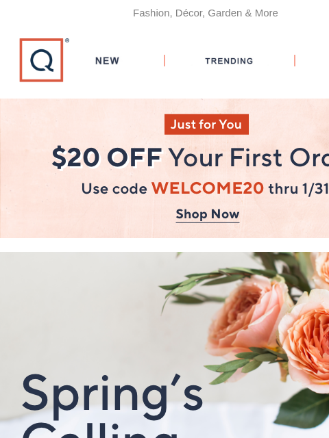 qvcemail newsletter: Snow's Falling, But Spring's Calling