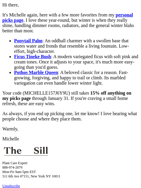 thesill newsletter: More of my winter picks (and 15% off)