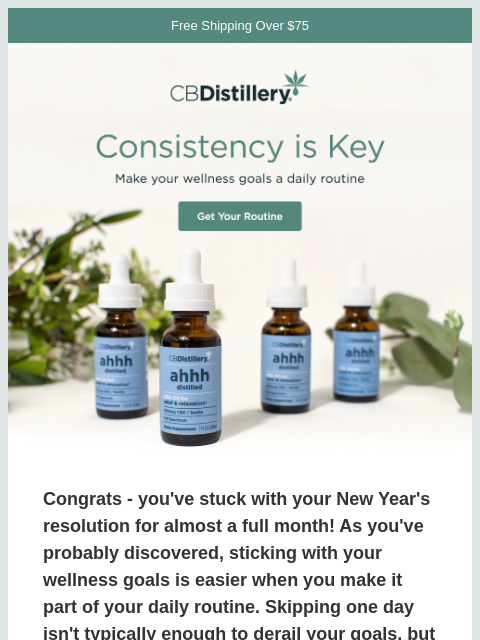 thecbdistillery newsletter: Consistency is Key!